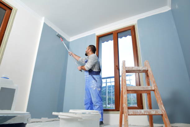 Best Fire-Damaged Drywall Repair  in USA